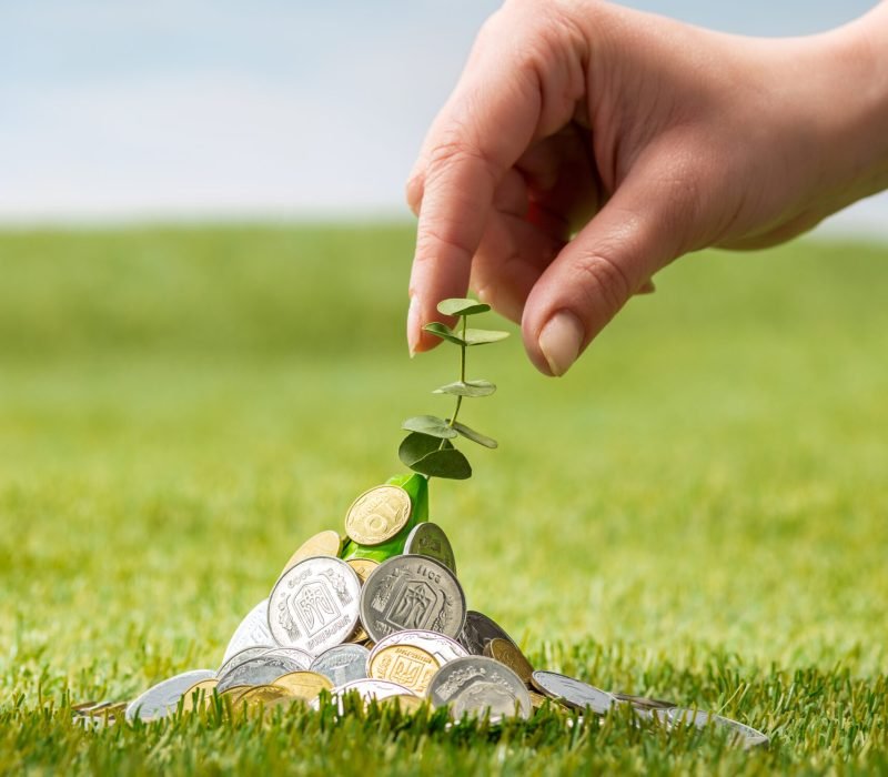 Plant growing in coins on green grass with female hand. Saving and investment financial concept