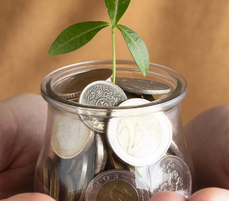 person-holding-jar-coins-hands